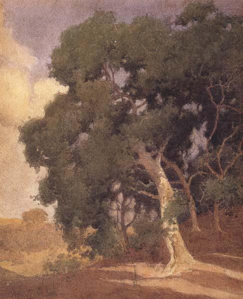 Trees on a Hillside (mk42), Percy Gray